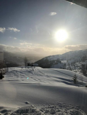 Hotels in Voss